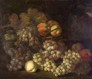 Jakob Bogdani Still Life with Pomegranates and Figs oil painting picture wholesale